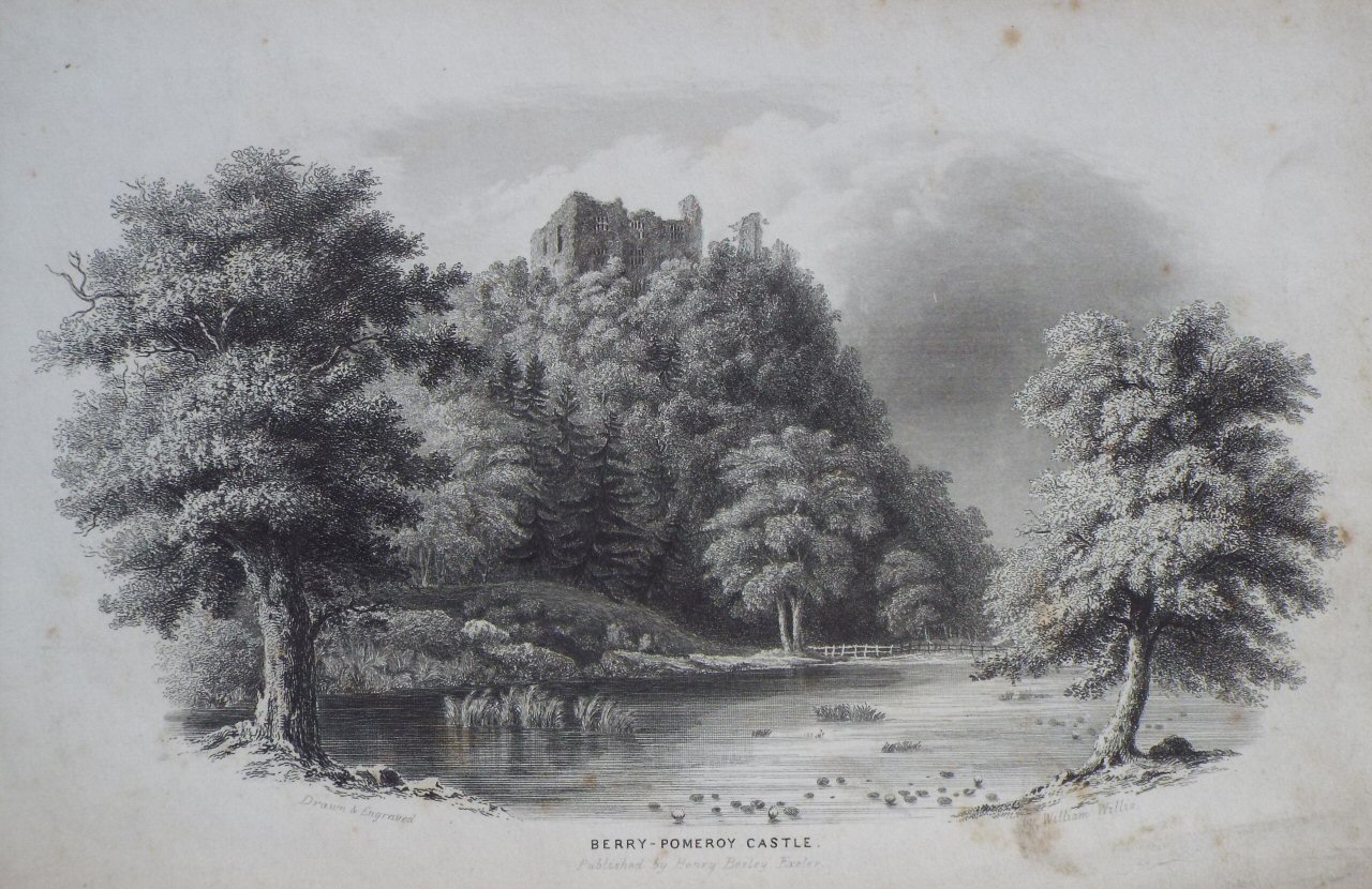 Steel Vignette - Berry - Pomeroy Castle. - Willis